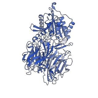 22367_7jkq_A_v1-3
Human DPP9-CARD8 complex