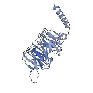 36367_8jkb_B_v1-0
Cryo-EM structure of KCTD5 in complex with Gbeta gamma subunits