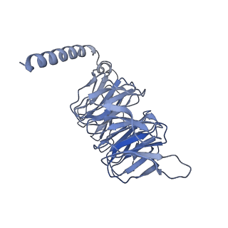 36367_8jkb_F_v1-0
Cryo-EM structure of KCTD5 in complex with Gbeta gamma subunits