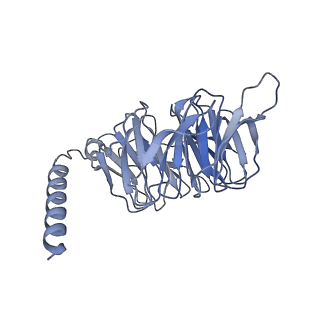 36367_8jkb_I_v1-0
Cryo-EM structure of KCTD5 in complex with Gbeta gamma subunits