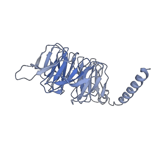 36367_8jkb_J_v1-0
Cryo-EM structure of KCTD5 in complex with Gbeta gamma subunits