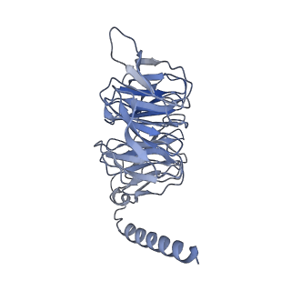 36367_8jkb_K_v1-0
Cryo-EM structure of KCTD5 in complex with Gbeta gamma subunits