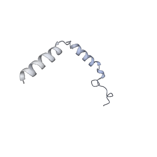 36367_8jkb_L_v1-0
Cryo-EM structure of KCTD5 in complex with Gbeta gamma subunits