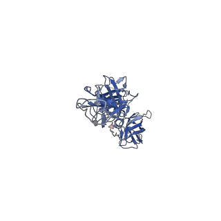 36368_8jkd_A_v1-0
Cryo-EM structure of CCHFV envelope protein Gc trimer in complex with Gc13 Fab