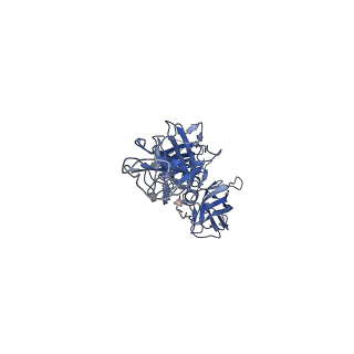 36368_8jkd_A_v1-1
Cryo-EM structure of CCHFV envelope protein Gc trimer in complex with Gc13 Fab