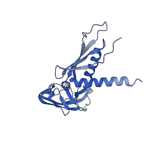 36370_8jke_A_v1-1
AfsR(T337A) transcription activation complex