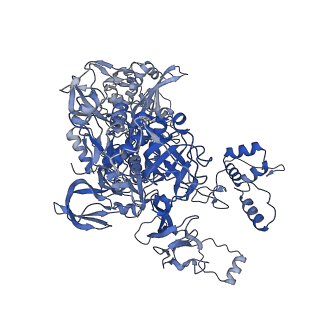 36370_8jke_C_v1-1
AfsR(T337A) transcription activation complex