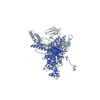 36370_8jke_D_v1-1
AfsR(T337A) transcription activation complex