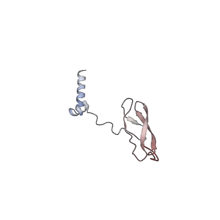 36370_8jke_G_v1-1
AfsR(T337A) transcription activation complex