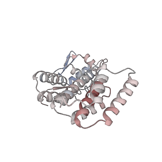 36370_8jke_I_v1-1
AfsR(T337A) transcription activation complex