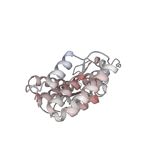 36370_8jke_J_v1-1
AfsR(T337A) transcription activation complex