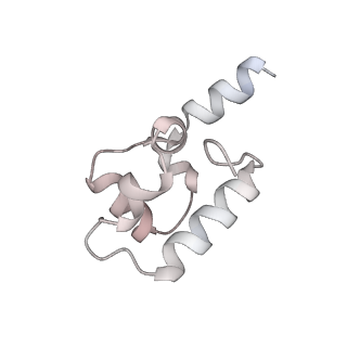 36370_8jke_K_v1-1
AfsR(T337A) transcription activation complex