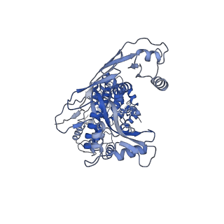 36384_8jkz_A_v1-0
Cryo-EM structure of the prokaryotic SPARSA system complex
