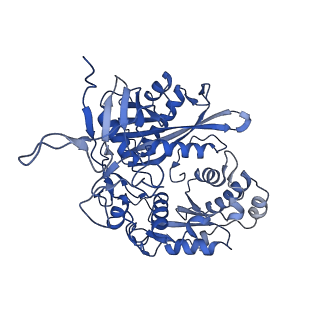 36384_8jkz_B_v1-0
Cryo-EM structure of the prokaryotic SPARSA system complex