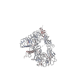 9838_6jk8_A_v1-3
Cryo-EM structure of the full-length human IGF-1R in complex with insulin