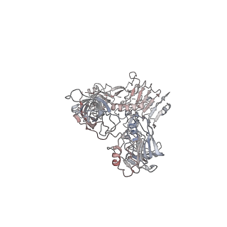 9838_6jk8_B_v1-3
Cryo-EM structure of the full-length human IGF-1R in complex with insulin