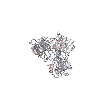 9838_6jk8_B_v2-0
Cryo-EM structure of the full-length human IGF-1R in complex with insulin