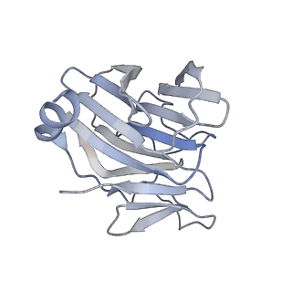 22368_7jl0_B_v1-2
Cryo-EM structure of MDA5-dsRNA in complex with TRIM65 PSpry domain (Monomer)