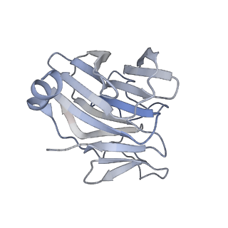 22368_7jl0_B_v1-3
Cryo-EM structure of MDA5-dsRNA in complex with TRIM65 PSpry domain (Monomer)