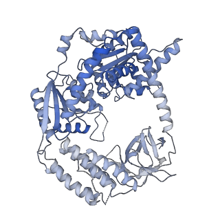 22370_7jl2_A_v1-2
Cryo-EM structure of MDA5-dsRNA filament in complex with TRIM65 PSpry domain (Trimer)