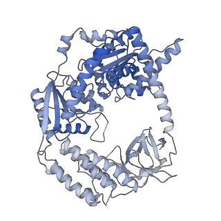 22370_7jl2_A_v1-3
Cryo-EM structure of MDA5-dsRNA filament in complex with TRIM65 PSpry domain (Trimer)