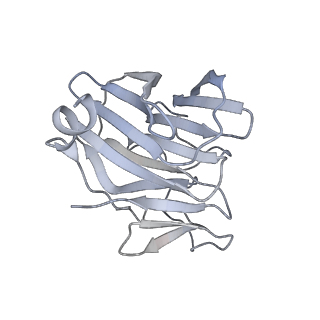 22370_7jl2_B_v1-2
Cryo-EM structure of MDA5-dsRNA filament in complex with TRIM65 PSpry domain (Trimer)