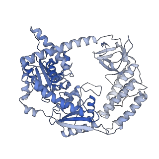 22370_7jl2_C_v1-2
Cryo-EM structure of MDA5-dsRNA filament in complex with TRIM65 PSpry domain (Trimer)