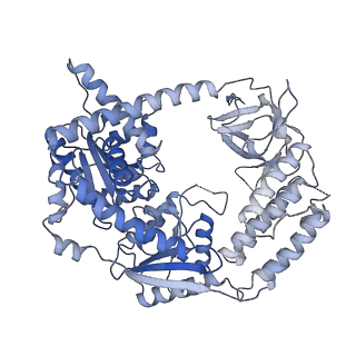 22370_7jl2_C_v1-3
Cryo-EM structure of MDA5-dsRNA filament in complex with TRIM65 PSpry domain (Trimer)