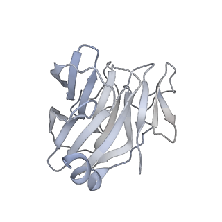 22370_7jl2_D_v1-2
Cryo-EM structure of MDA5-dsRNA filament in complex with TRIM65 PSpry domain (Trimer)
