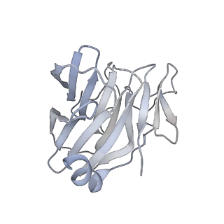 22370_7jl2_D_v1-3
Cryo-EM structure of MDA5-dsRNA filament in complex with TRIM65 PSpry domain (Trimer)