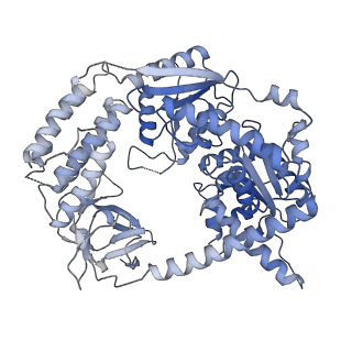 22370_7jl2_E_v1-2
Cryo-EM structure of MDA5-dsRNA filament in complex with TRIM65 PSpry domain (Trimer)