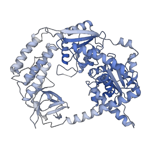 22370_7jl2_E_v1-3
Cryo-EM structure of MDA5-dsRNA filament in complex with TRIM65 PSpry domain (Trimer)