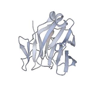 22370_7jl2_F_v1-2
Cryo-EM structure of MDA5-dsRNA filament in complex with TRIM65 PSpry domain (Trimer)