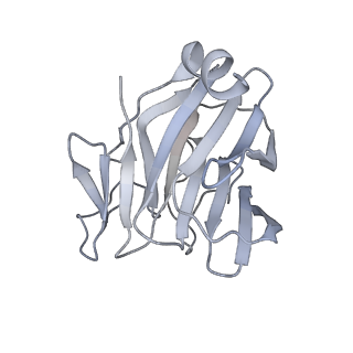 22370_7jl2_F_v1-3
Cryo-EM structure of MDA5-dsRNA filament in complex with TRIM65 PSpry domain (Trimer)