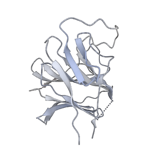22371_7jl3_B_v1-2
Cryo-EM structure of RIG-I:dsRNA filament in complex with RIPLET PrySpry domain (trimer)