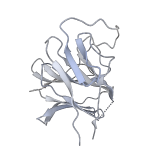 22371_7jl3_B_v1-3
Cryo-EM structure of RIG-I:dsRNA filament in complex with RIPLET PrySpry domain (trimer)