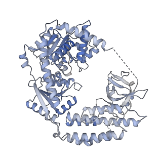 22371_7jl3_C_v1-2
Cryo-EM structure of RIG-I:dsRNA filament in complex with RIPLET PrySpry domain (trimer)