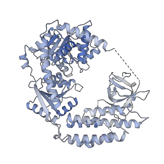 22371_7jl3_C_v1-3
Cryo-EM structure of RIG-I:dsRNA filament in complex with RIPLET PrySpry domain (trimer)