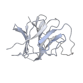 22371_7jl3_D_v1-2
Cryo-EM structure of RIG-I:dsRNA filament in complex with RIPLET PrySpry domain (trimer)