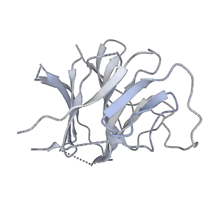 22371_7jl3_D_v1-3
Cryo-EM structure of RIG-I:dsRNA filament in complex with RIPLET PrySpry domain (trimer)