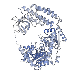 22371_7jl3_E_v1-2
Cryo-EM structure of RIG-I:dsRNA filament in complex with RIPLET PrySpry domain (trimer)