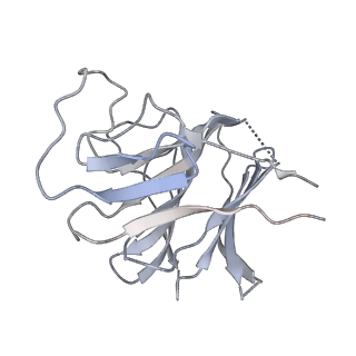 22371_7jl3_F_v1-2
Cryo-EM structure of RIG-I:dsRNA filament in complex with RIPLET PrySpry domain (trimer)