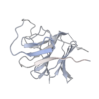 22371_7jl3_F_v1-3
Cryo-EM structure of RIG-I:dsRNA filament in complex with RIPLET PrySpry domain (trimer)