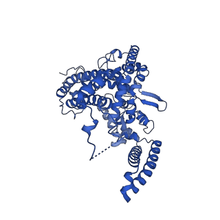 22375_7jlo_A_v1-2
Cryo-EM structure of human ATG9A in amphipols