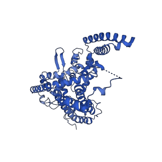 22375_7jlo_C_v1-2
Cryo-EM structure of human ATG9A in amphipols