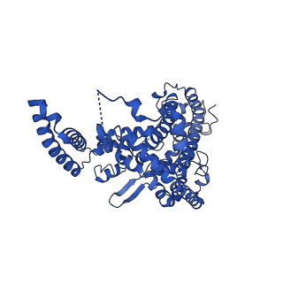 22376_7jlp_B_v1-2
cryo-EM structure of human ATG9A in nanodiscs