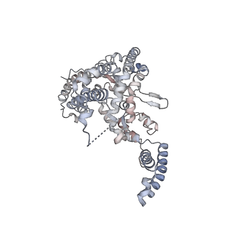 22377_7jlq_A_v1-2
cryo-EM structure of human ATG9A in LMNG micelles