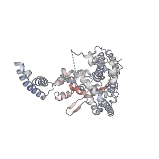 22377_7jlq_B_v1-2
cryo-EM structure of human ATG9A in LMNG micelles
