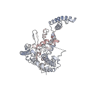 22377_7jlq_C_v1-2
cryo-EM structure of human ATG9A in LMNG micelles