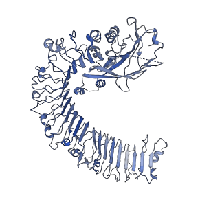 22380_7jlu_A_v1-1
Structure of the activated Roq1 resistosome directly recognizing the pathogen effector XopQ